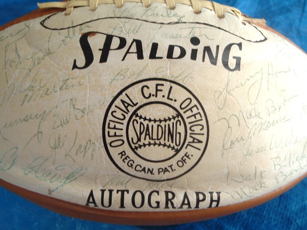 Kapp 64 grey cup ball02