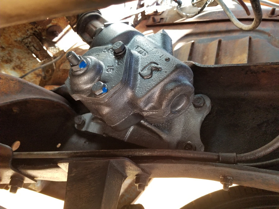 steer 7