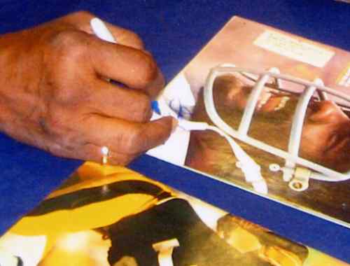 mean joe greene 500