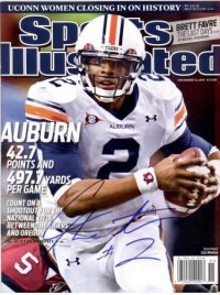 reg 10 Cam Newton 2