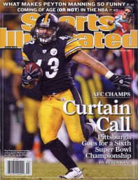 reg Polamalu 2009
