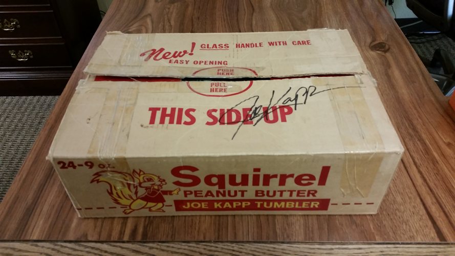 squirrel