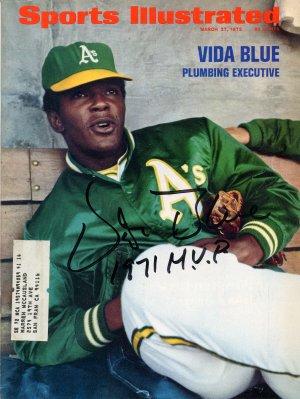 vida blue 300 2